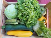 Panier de légumes