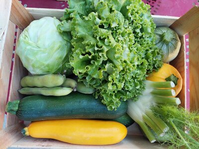 Panier de légumes