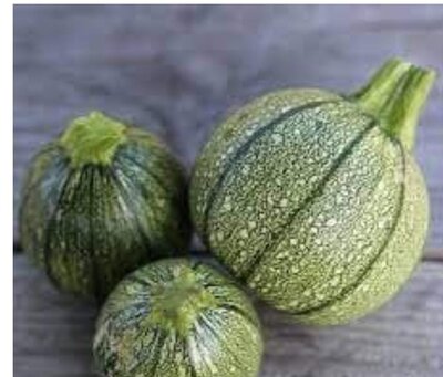 Courgette ronde