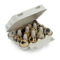 Oeufs de caille (x12)