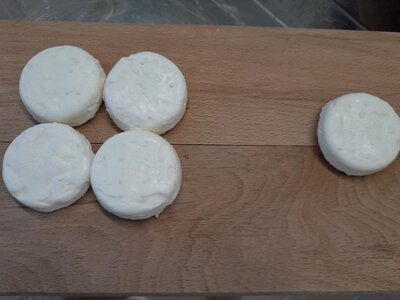 Petit chèvre pour chèvre chaud