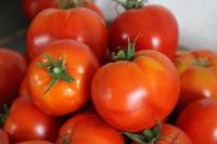 Tomate variétés anciennes