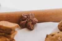 🍫 sésame & chocolat – sablé croustillant