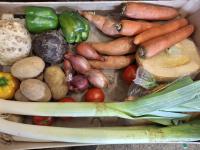 Grand panier de legumes