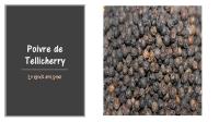 Poivre de tellichery