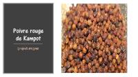Poivre rouge de kampot aop - cambodge
