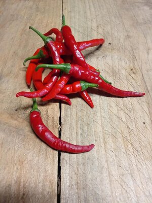 Piment de cayenne