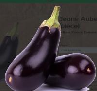 Aubergine