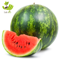 🍉 tranche de pastèque