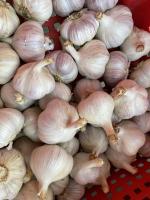 🧄 tête d’ail - 3/4 pièces