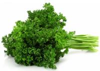 Persil frisé