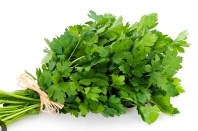 Persil plat