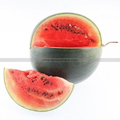 Pastèque