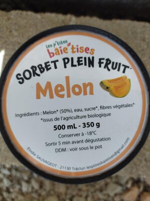 Sorbet melon