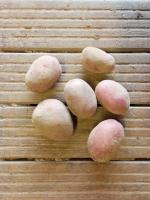 Pomme de terre - alouette