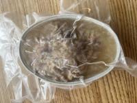 Paté de campagne -ferme durbois max 290g