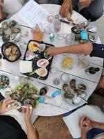 F. de claires m. oléron calibre 3:4 douzaines