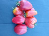 Tomates