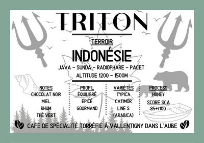 Triton 250g - origine indonésie - moulu