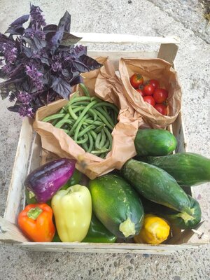 Panier de légume