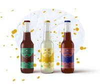 Pack découverte noctua (avec sureau)