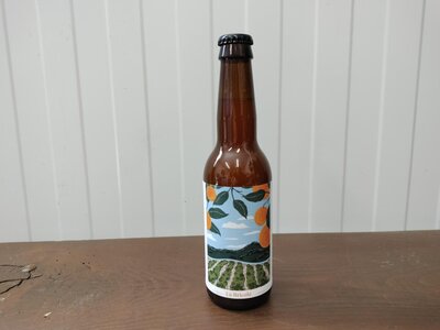 Bière abricot 33cl - promo ddm 28/08/26