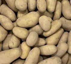 Pomme de terre allians