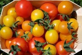 Tomates cerises 250g