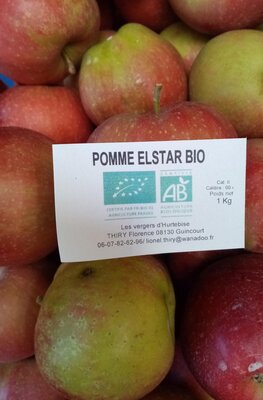Pomme elstar 1 kg