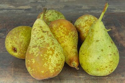 Poire
