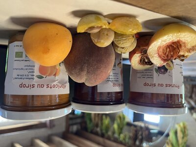 Pêches au sirop léger