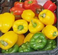 Poivrons bio