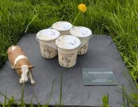 Yaourt aromatisé vanille au lait entier