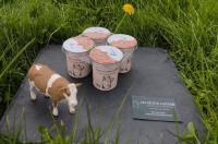 Yaourt brassé fraise au lait entier