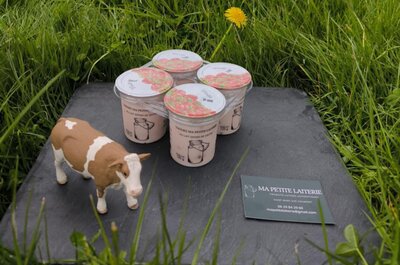 Yaourt brassé fraise au lait entier