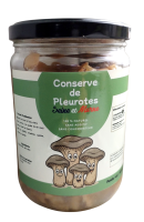 Conserve de pleurotes