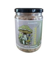 Conserve de pleurotes