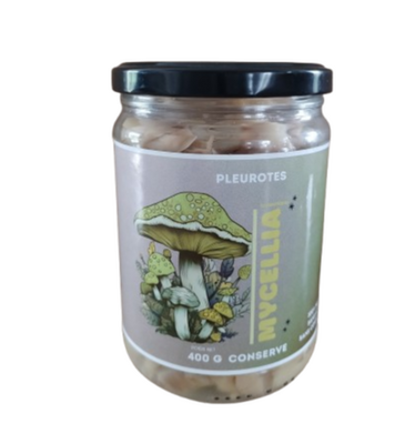 Conserve de pleurotes