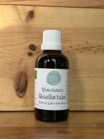 Alcoolature basilic sacré (tulsi)