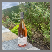 Bourgogne rosé 2023
