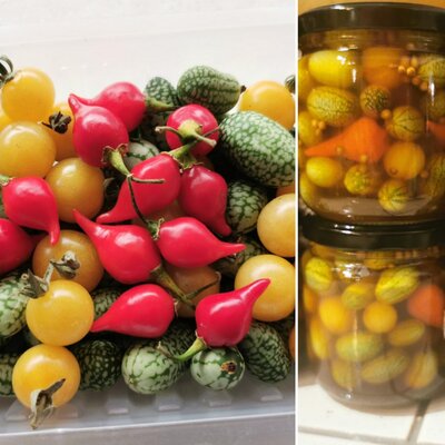 Assortiment de minis légumes pour pickles
