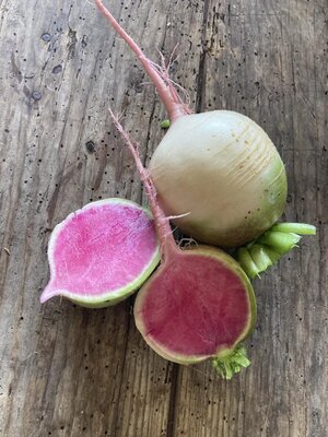 Radis red meat