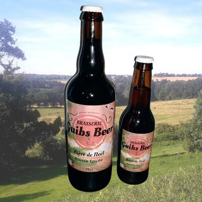 Anti gaspi bière de noël 33cl