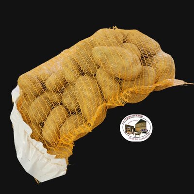 Pommes de terre samba  recolte 2025