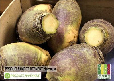 Rutabaga