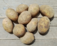 🥔 pommes de terre bio chair tendre - 500g