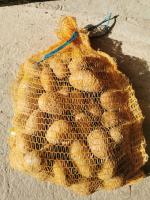 Pomme de terre de conservation 5kg