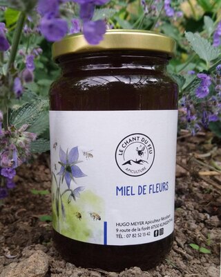 Miel de fleurs de printemps (500g)