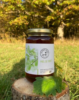 Miel de forêt (500g)