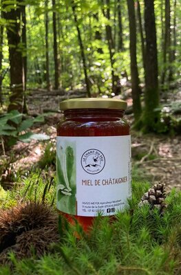 Miel de châtaignier (500g)